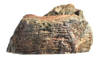 Silicified, fossil wood, Permian, GER