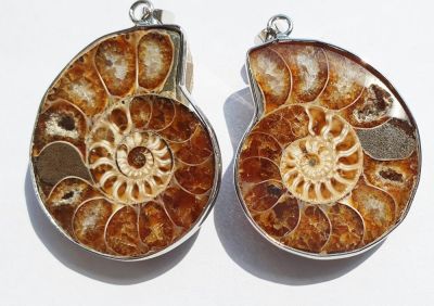 Cleoniceras pendant (2-3 cm), Cretaceous, MDG