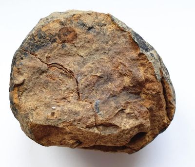 Flexicalymene sp. in geode, var. specimens, MAR