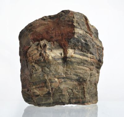 Silicified, fossil wood, Permian, GER