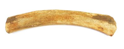 Mammoth bone