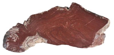 Stromatolith, Precambrian, MAR