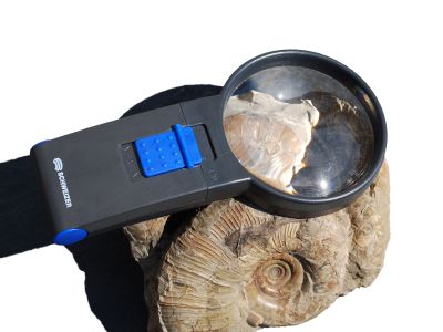 Hand-held magnifier "Basic-Line", 4-fold