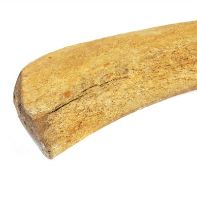 Mammoth bone